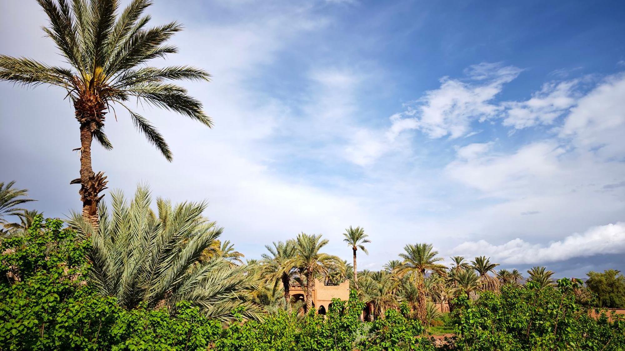 Lodge Hara Oasis Agdz Exterior photo